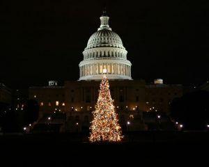 Enjoy the winter holiday traditions while attending university in Washington DC