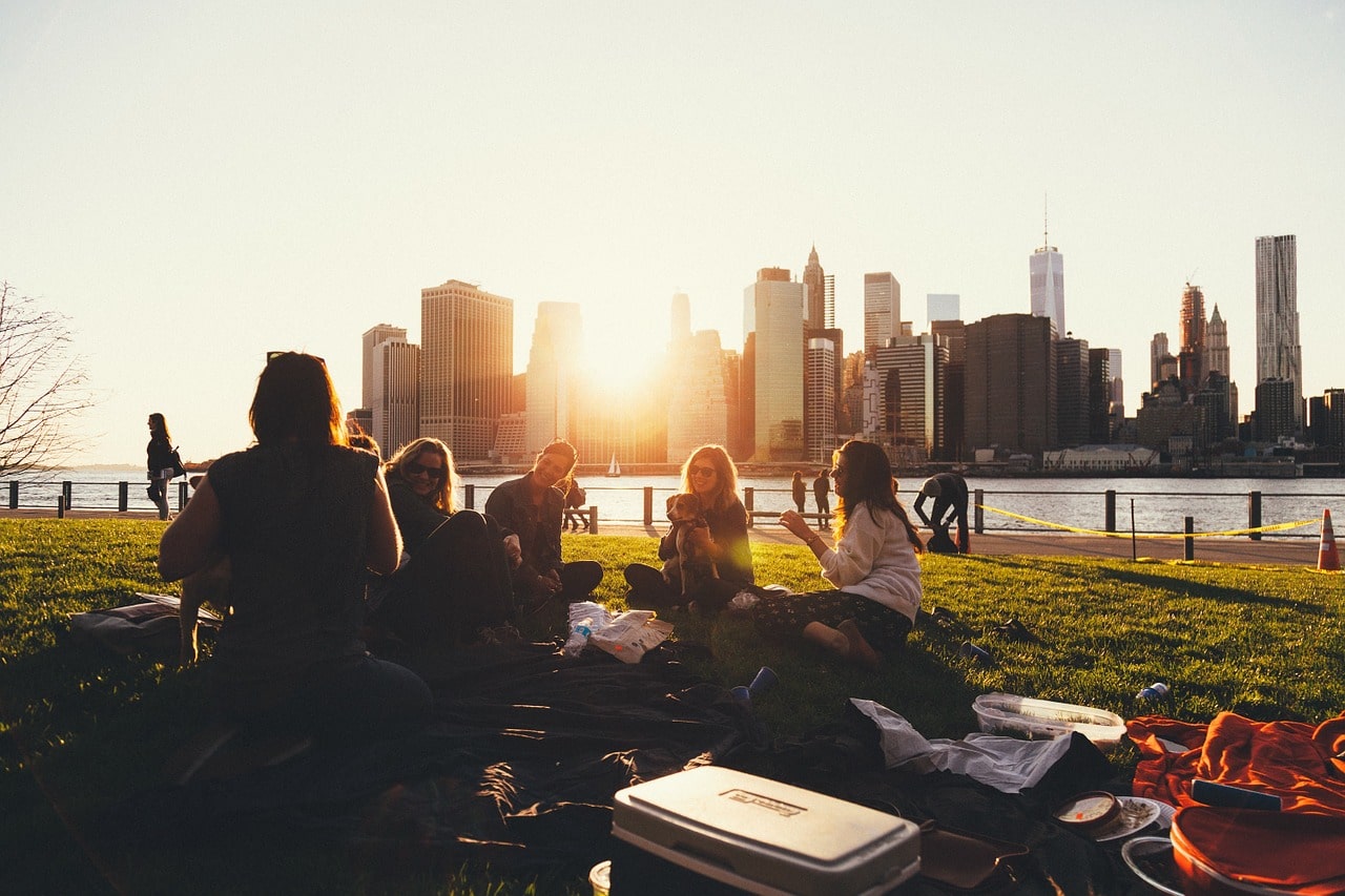 international students in the use having a picnic