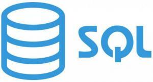 12 Best Programming Languages For Business Majors to Learn