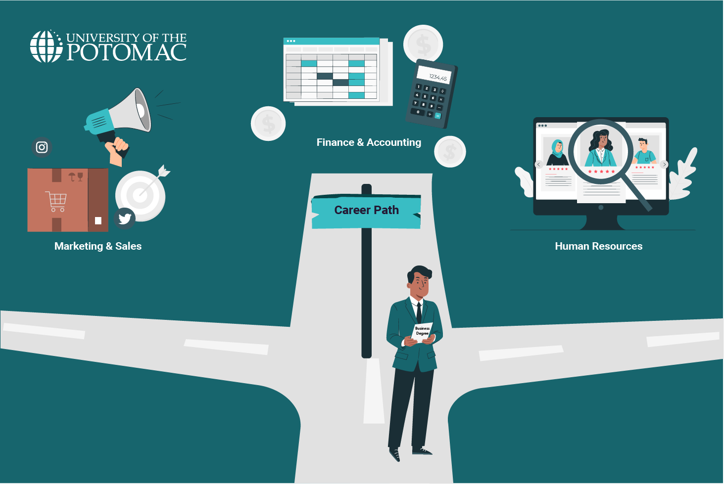 CEO Vs CFO Roles Qualifications Salary
