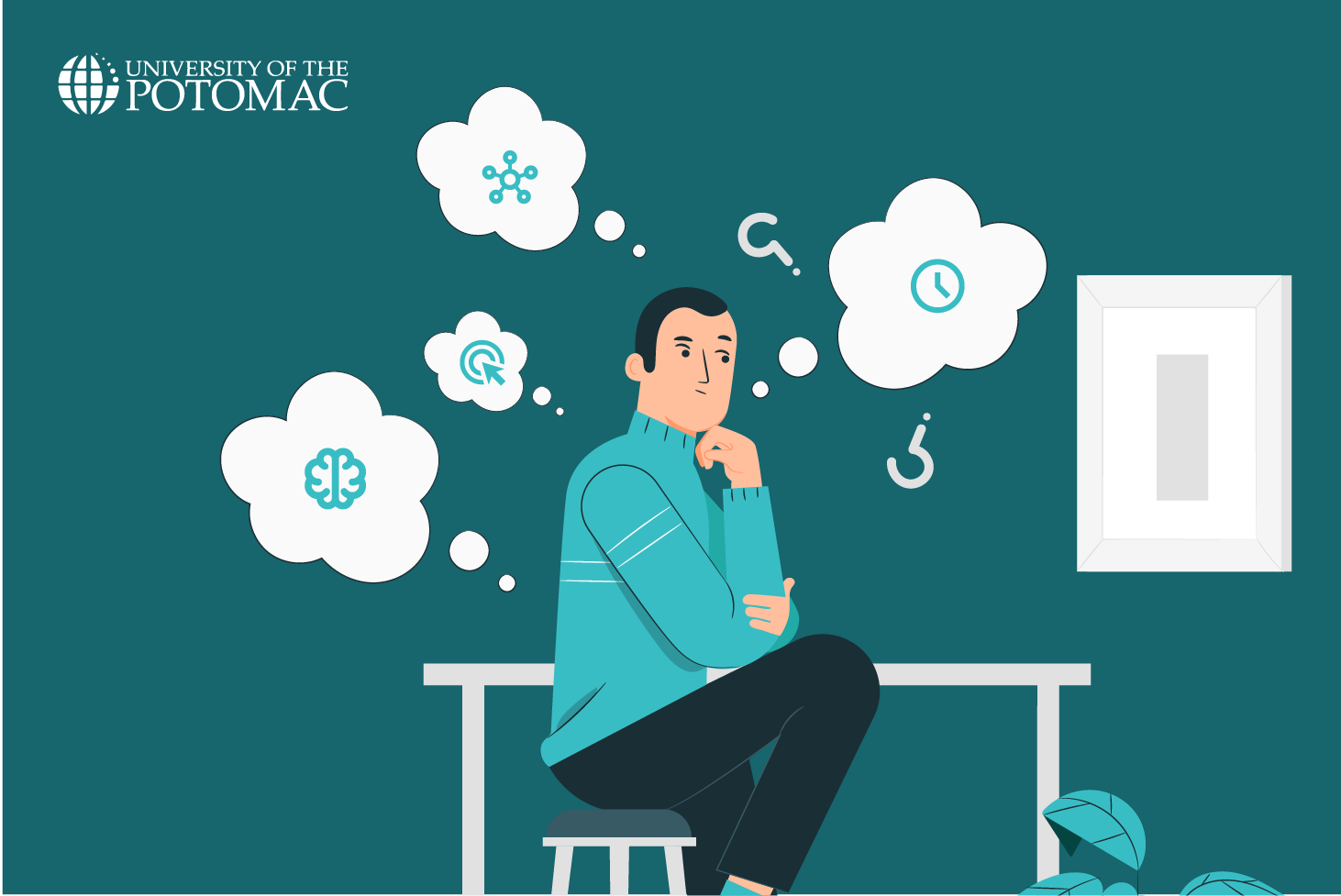 CEO Vs CFO Roles Qualifications Salary