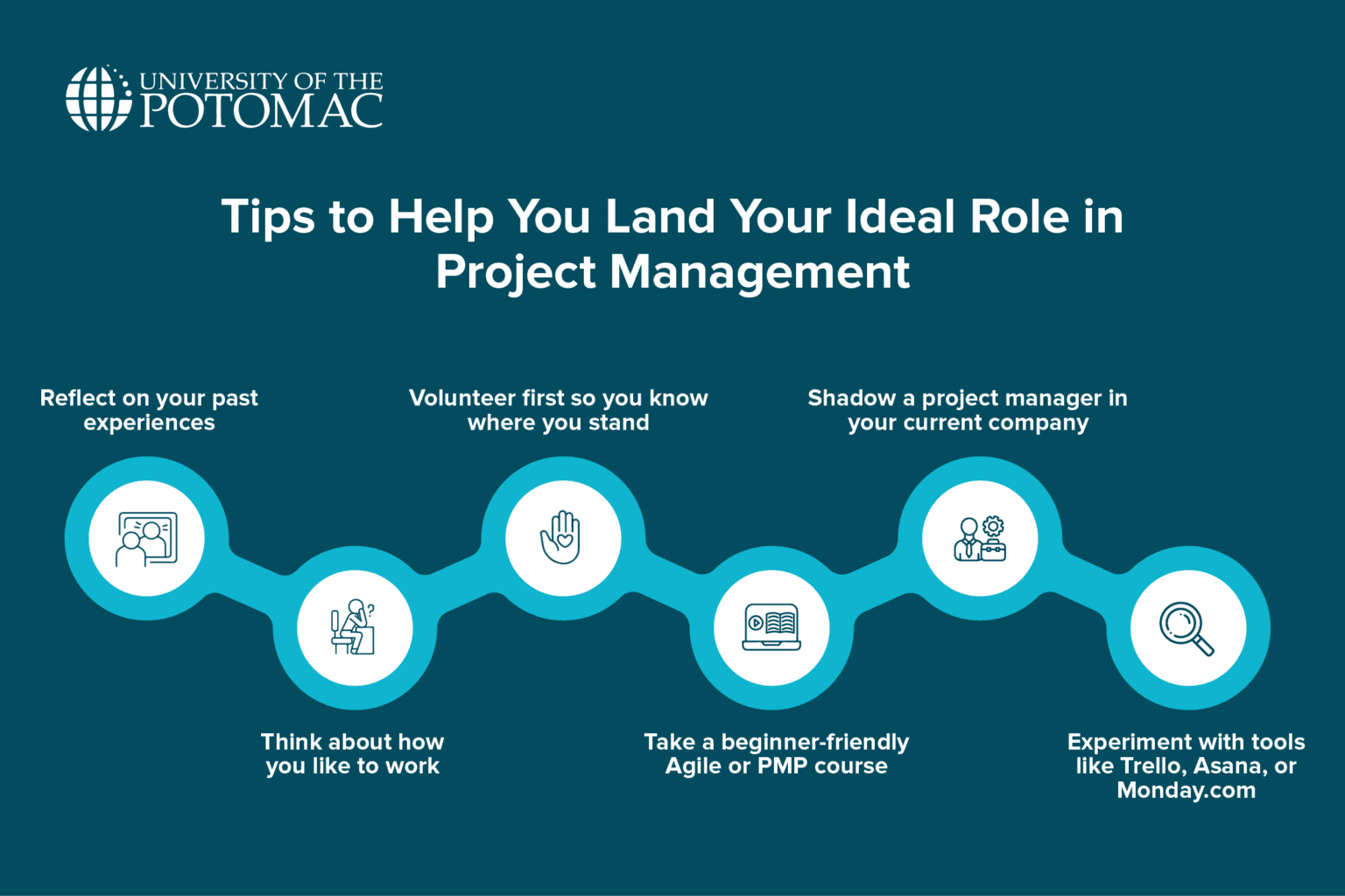 Types of Project Managers: Roles & Specialties | UOTP